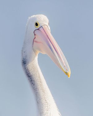 Image post by @unsplash on Instagram