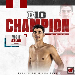 Image post by @badgerswimdive on Instagram