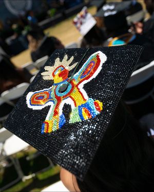 Image post by @ucsandiego on Instagram