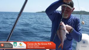 Video post by @regrowprorg on Facebook