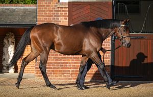 Image post by @juddmonte on Instagram