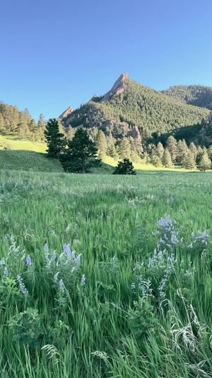 Video post by @filmbychloeg on TikTok