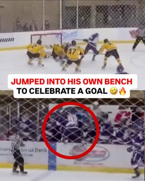 Image post by @br_openice on Instagram