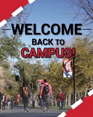 Image post by @unlvrmg on Instagram