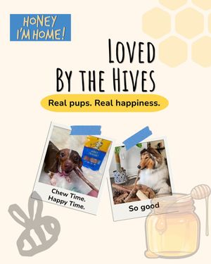 Image post by @honeyimhome on Instagram