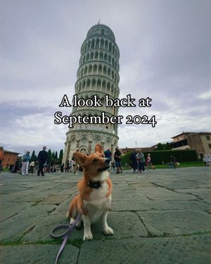 Image post by @ziggy_thecorg on Instagram