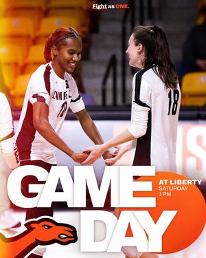 Image post by @gocamelsvb on Instagram