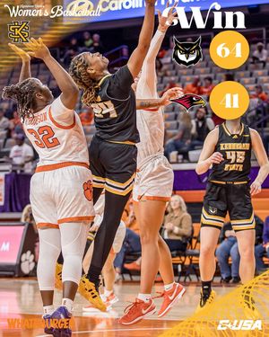 Image post by @ksuowlswbb on Instagram