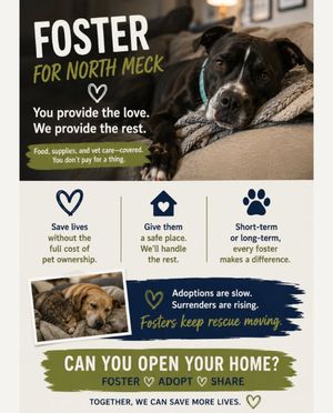 Image post by @northmeckanimalrescue on Instagram