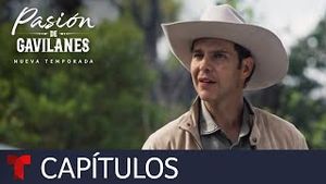 Video post by @telemundo on YouTube