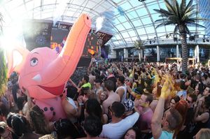 Image post by @marqueelv on Instagram