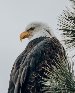 Image post by @takenbykathleen on Instagram
