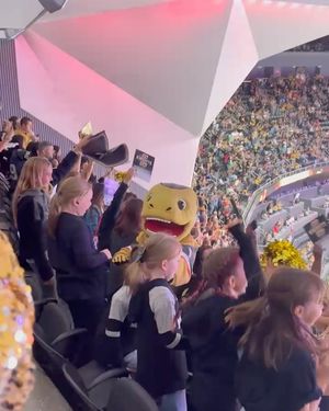 Image post by @chancenhl on Instagram