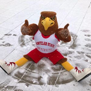 Image post by @rockyredhawk on Instagram