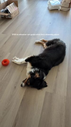 Video post by @ashleyxbryant on TikTok