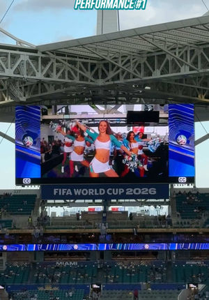 Video post by @dolphinscheer on TikTok