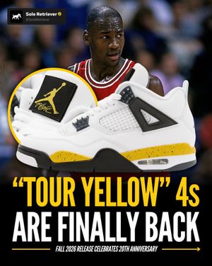 Image post by @soleretriever on Instagram