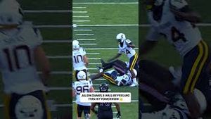 Video post by @cfbonfox on YouTube