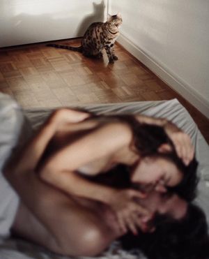 Image post by @fubiz on Instagram