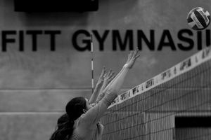 Image post by @CMUVolleyball on Twitter