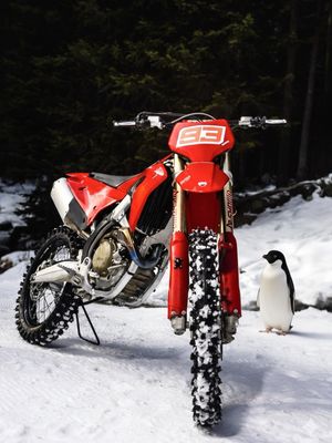 Image post by @ducati on Instagram