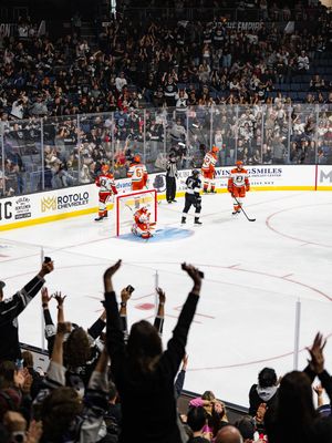 Image post by @lakings on Instagram