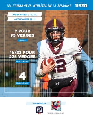 Image post by @rseq1 on Instagram