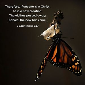 Image post by @carmelchurch on Instagram