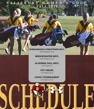 Image post by @suseagulls on Instagram