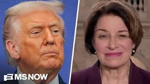 Video post by @msnbc on YouTube