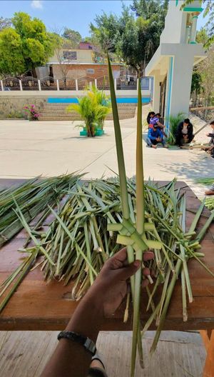 Image post by @divis_oaxaquena on Instagram