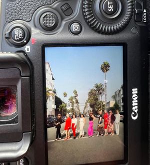 Image post by @alisonshamir on Instagram
