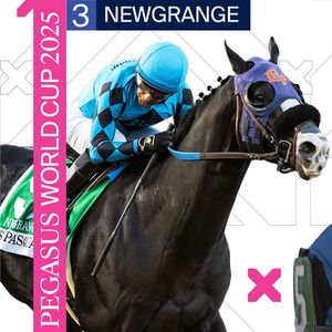 Image post by @pegasusworldcup on Instagram