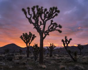 Image post by @nationalparkscollective on Instagram