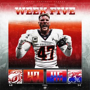 Image post by @d26gfx on Instagram