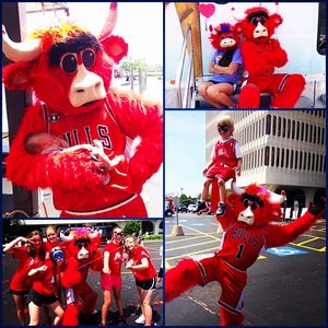 Image post by @bennythebull on Instagram