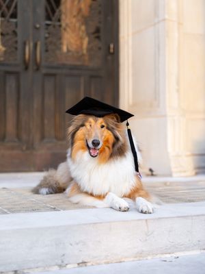 Image post by @missrevx on Instagram