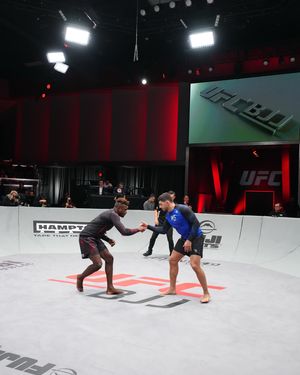 Image post by @ufcbjj on Instagram