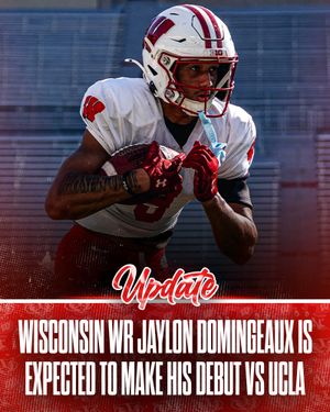 Image post by @rollbadgers on Instagram