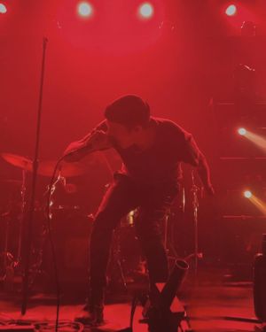 Image post by @sydneyolmy on Instagram