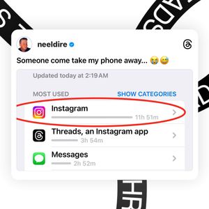 Image post by @neeldire on Instagram