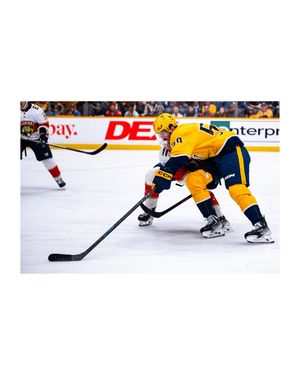 Image post by @mveldmanphoto on Instagram