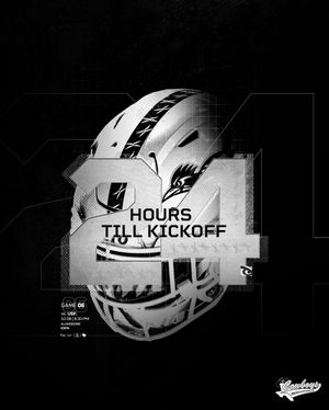 Image post by @utsaftbl on Instagram