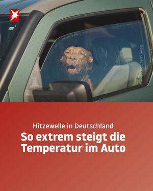 Video post by @stern_de on TikTok
