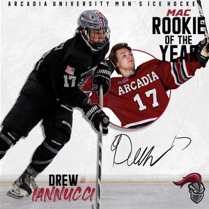 Image post by @arcadia_knights on Instagram