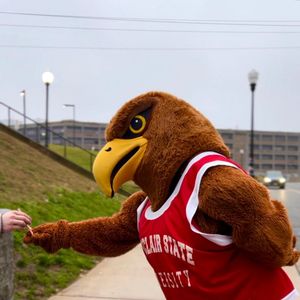 Image post by @rockyredhawk on Instagram