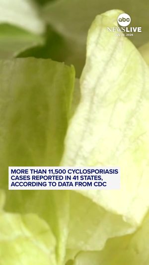 Video post by @abcnewslive on TikTok