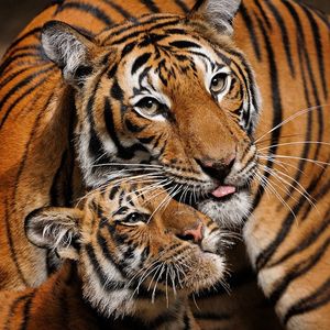 Image post by @sandiegozoo on Instagram