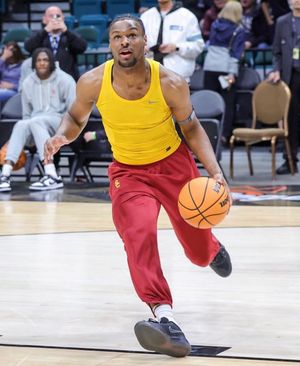 Image post by @not__bronny on Instagram