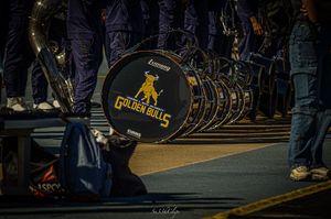 Image post by @sn33kclips on Instagram